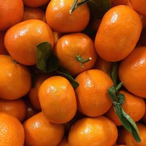 Fruitx_local mym