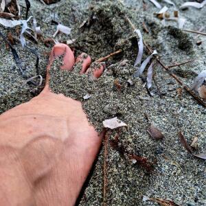 Fuunnyyfoot mym