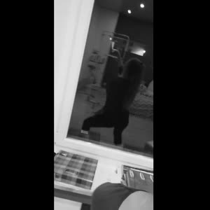 Gcm_137 mym