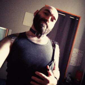 Gentlebear_dijon mym