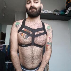 Gentlebear_dijon mym