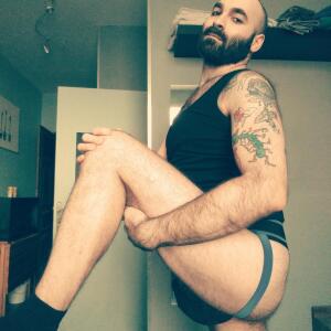 Gentlebear_dijon mym