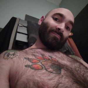 Gentlebear_dijon mym