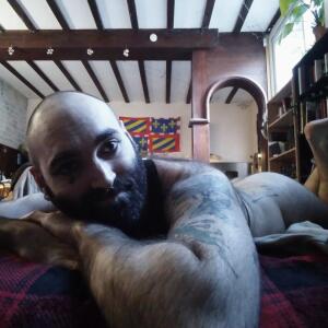 Gentlebear_dijon mym