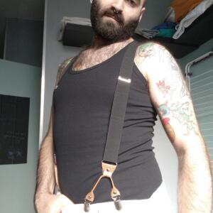 Gentlebear_dijon mym