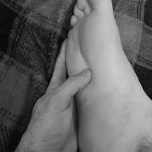 Gentlebear_dijon mym