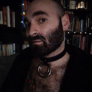 Gentlebear_dijon mym