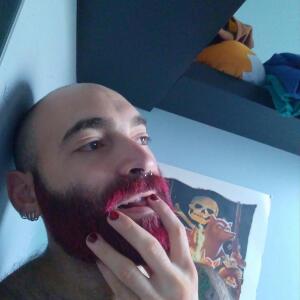 Gentlebear_dijon mym