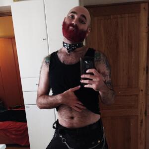 Gentlebear_dijon mym