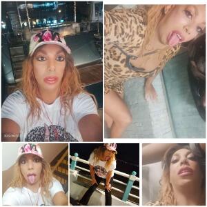 Hayfatrav mym