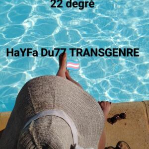 Hayfatrav mym