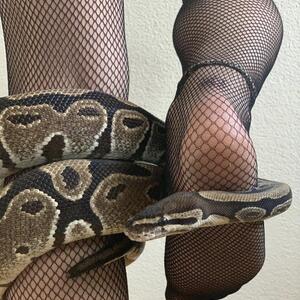 Hot_snake mym