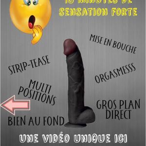 Ines_lacoste mym