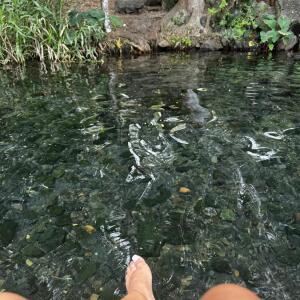 Islandgirls_feet mym