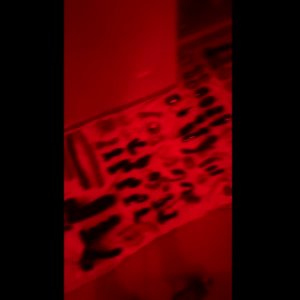 Jeunexhib20 mym
