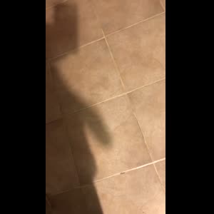 Jl_1 mym