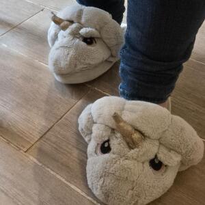 Joliepetitpied_peton mym