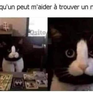 Justemoi85 mym