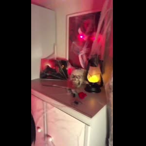 Kinky_vicky mym