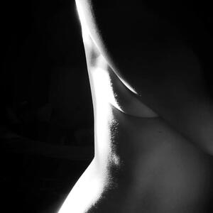 L_eloise mym