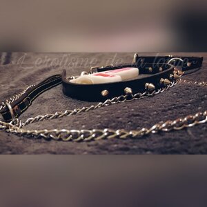 L_erotisme_de_louve mym