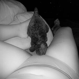 La_belle_x mym