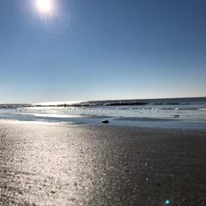Landsand_sea mym