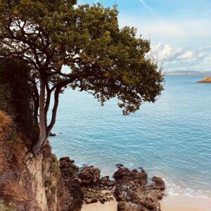 Landsand_sea mym