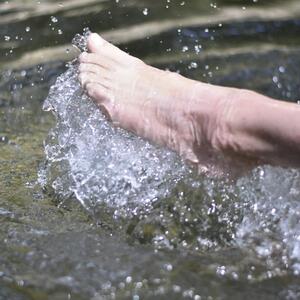 Le_pied_coquin mym