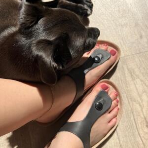 Les_petits_pieds_d_angel mym