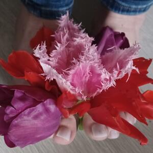 Liloulu33_pieds mym
