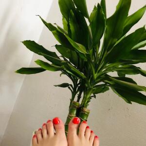 Lina_nl mym