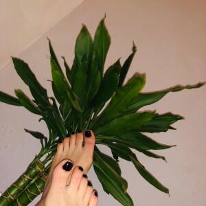 Lina_nl mym