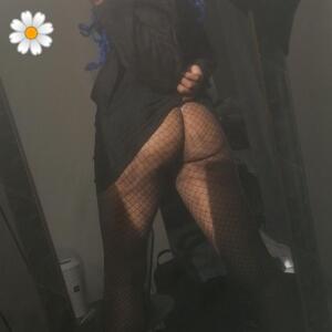Lis_aphrodite_ mym