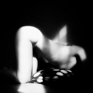 Luciole_306 mym
