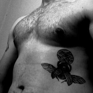 Male_charmant mym