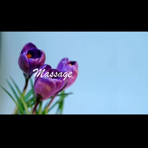 Melissa_glams mym