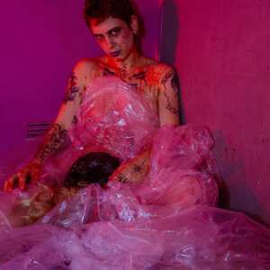 Metamorphosis_succuba mym