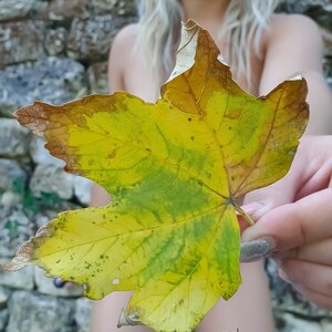 Mia_detoi mym