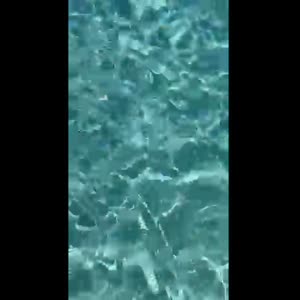 Mimo_31 mym