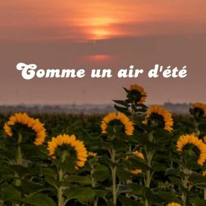 Miss2ailes mym