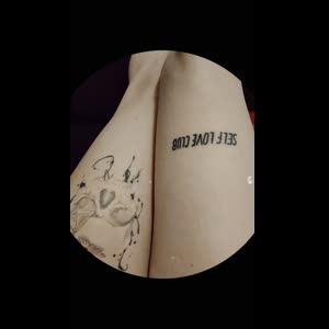 Missophelink2_0 mym