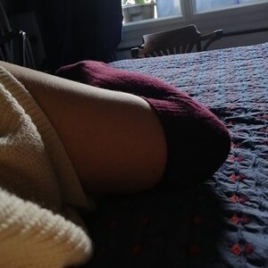 Morsures mym