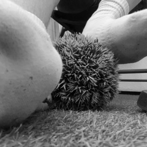 Myfeets_12345 mym