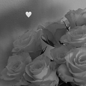 Ni_fan mym