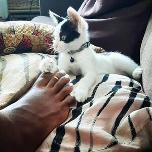 Ninasky_karibean_feet mym