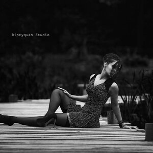 Noreleia mym