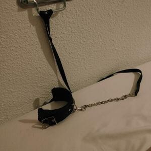 Ori_slave mym