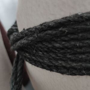 Ori_slave mym