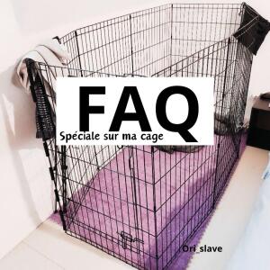 Ori_slave mym
